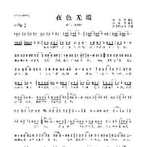 夜色无瑕_歌曲简谱_词曲:顾聆落 执素兮