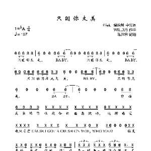 只因你太美_歌曲简谱_词曲:邓晶 蔡徐坤 WILLIUS