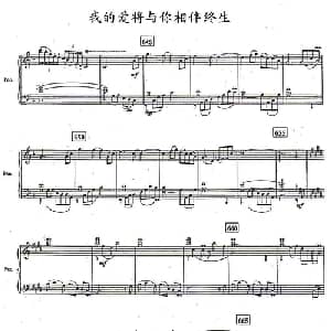 我的爱将与你相伴终生_美声唱法乐谱