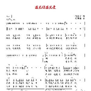 遇见你遇见爱_歌曲简谱_词曲:何真宗 向邦瑜
