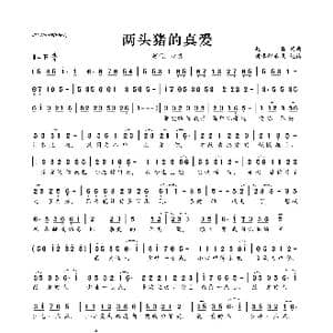 两头猪的真爱_歌曲简谱_词曲:赵真 赵真