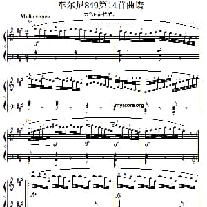 车尔尼 钢琴谱