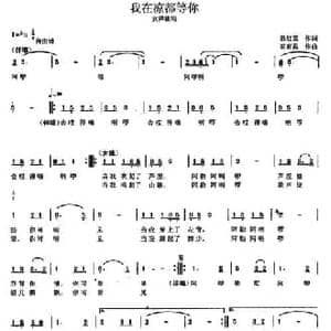 我在凉都等你_民歌简谱_词曲:孙红莺 崔有昌