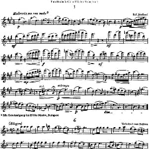 长笛曲谱 | 斯勒新老风格长笛练习重奏曲 第三部分 NO.5 NO.6 Siegfried Thiele S. 斯勒