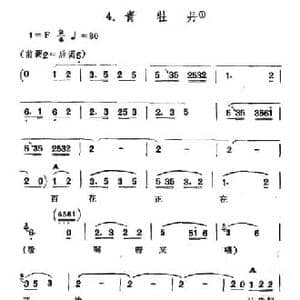 青牡丹_民歌简谱