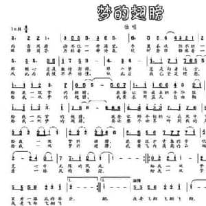 梦的翅膀_民歌简谱_词曲:杨冰 马志波 丁玉麟 文燕