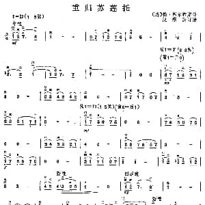 二胡谱 | 重归苏莲托