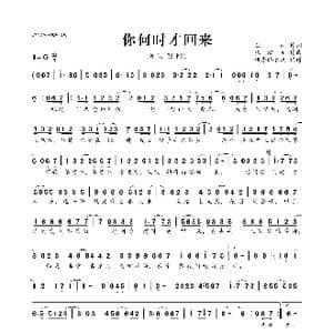 你何时才回来_歌曲简谱_词曲:王纯 张瀚元