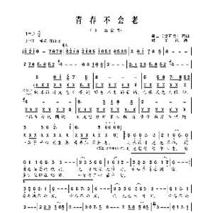 青春不会老_歌曲简谱_词曲:泰山 甘延文 泰山 甘延文