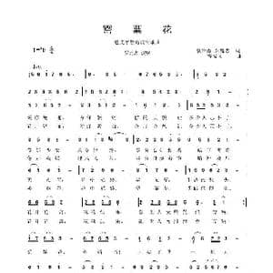罂粟花_歌曲简谱_词曲:袁贵勇 罗廷忠 程福文