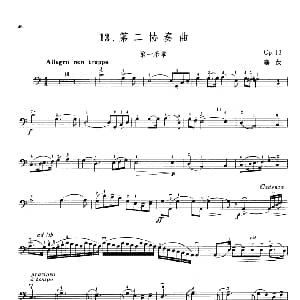 第二协奏曲 Op.13 大提琴 塞茨
