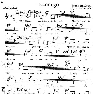 Flamingo 钢琴谱