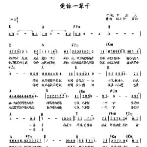爱你一辈子_通俗唱法乐谱_词曲:罗应天 罗款 杨小钟