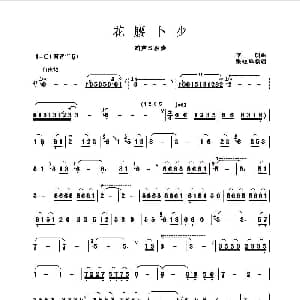 葫芦丝谱 | 花腰卜少 李明