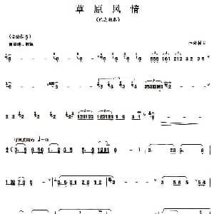 草原风情 巴乌