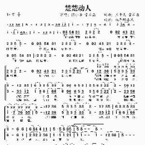 楚楚动人_歌谱投稿_词曲:王平久 常石磊 王平久 常石磊