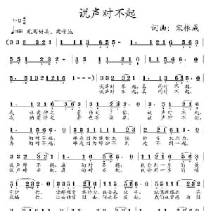 说声对不起_通俗唱法乐谱_词曲:宋根成 宋根成