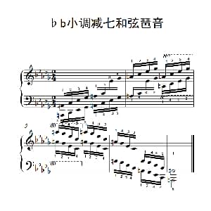 第九级22.♭b小调减七和弦琶音 钢琴谱