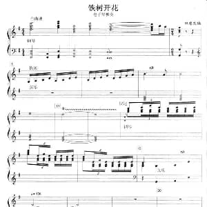 电子琴谱 | 铁树开花 田玮 改编