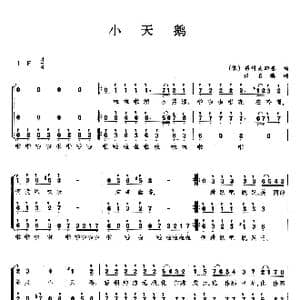 小天鹅_歌曲简谱