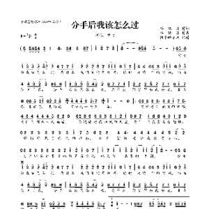 分手后我该怎么过_歌曲简谱_词曲:李晓舟 李晓舟