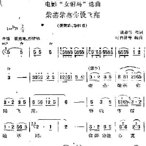 黄梅戏谱 | 电影 女驸马 选曲 紫燕紫燕你满飞翔 洪非等 时白林等编曲