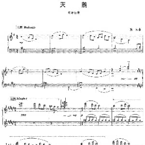 天鹅 钢琴谱 敖云