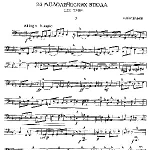 瓦西里耶夫24首大号练习曲集 7—12