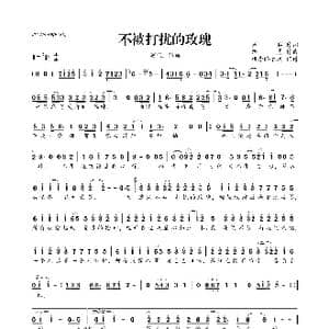 不被打扰的玫瑰_歌曲简谱_词曲:周兵 路勇