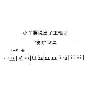 豫剧谱 | 小丫鬟说出了正理话 秦雪梅 观文 选段