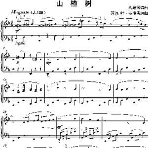 山楂树_歌谱投稿_词曲: 沈建国编曲