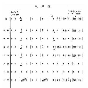 双声恨 民乐合奏总谱 暂无 刘明源