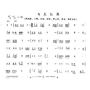 白发红颜