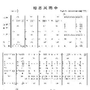 相思风雨中_歌曲简谱