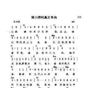 我已得到真正自由_歌谱投稿