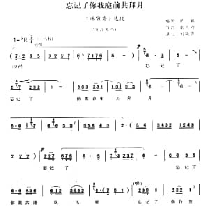 豫剧谱 | 忘记了你我庭前共拜月 珠帘秀 选段 刘晓燕 耿玉卿