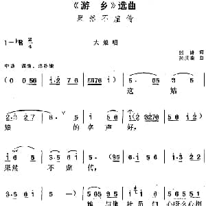 黄梅戏谱 | 游乡 选曲 果然不虚传 大娘唱段 张路 张庆瑞