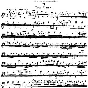 长笛曲谱 | 斯勒新老风格长笛练习重奏曲 第一部分 NO.71 NO.73 Siegfried Thiele S. 斯勒