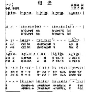 相逢_通俗唱法乐谱_词曲:蔡俊峰 王光兴