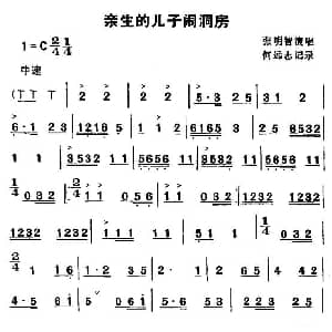 湖北大鼓 亲生儿子闹洞房