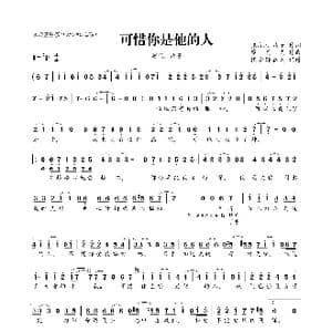 可惜你是他的人_歌曲简谱_词曲:张海风 欢子 廖灵光