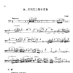 贝利尼主题与变奏 大提琴 丹克拉