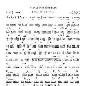 小姐呀小姐你多风采_歌曲简谱_词曲: 荀派