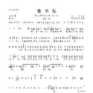 爱不枉_歌曲简谱_词曲:胡灵 胡灵