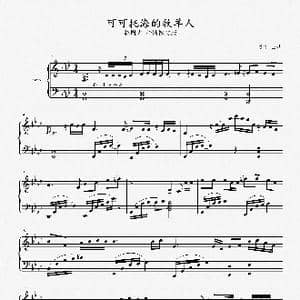赵胤先钢琴曲谱 可可托海的牧羊人 _歌曲简谱_词曲:王琪 王琪