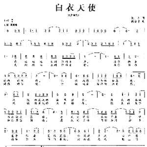 白衣天使_歌曲简谱_词曲:张弓 陈涤非