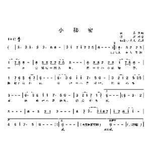 小秘密_歌曲简谱