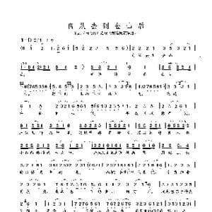 自从去到金山后_歌曲简谱