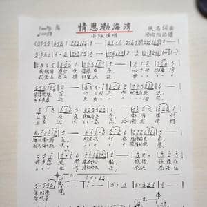 情思渤海湾_歌谱投稿_词曲:佚名 佚名