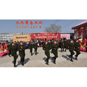 水兵舞喜双双_歌曲简谱_词曲:李大江填词